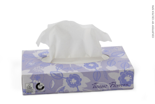 Kapesníčky 2 vrstvy 100ks CELTEX